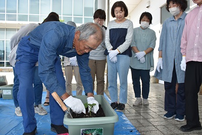 緑のカーテン育成講習会開催(2026年5月18日)の画像