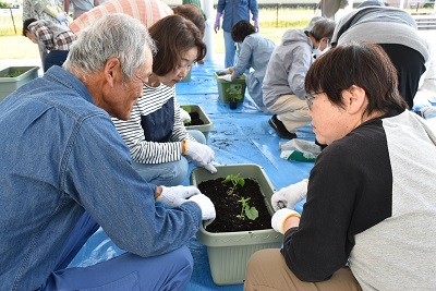 植えられた苗を囲んで話をしている写真