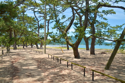 琴林公園内にある「津田の松原」の写真