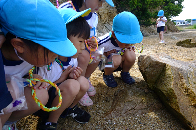 海辺の岩場で子どもたちが砂浜の生き物をしゃがんで観察している様子の写真