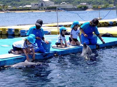イルカのふれあい体験で桟橋に並んだ子どもたちがトレーナーと一緒にイルカにえさをあげている様子の写真