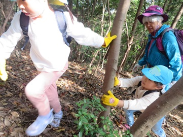 登山道で黄色い手袋をつけた園児たちが斜面を進み後ろから職員もそれを見守っている写真