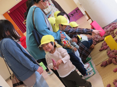 室内で園児と保護者がさつまいもを選んでいる写真