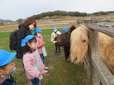 屋外で園児と保護者がポニーを見学している写真