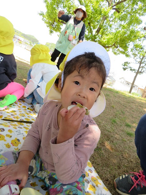 レジャーシートに座りながらかしわもちを頬張る園児の写真