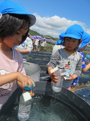 貯められた水をペットボトルに汲んでいる2人の園児の写真