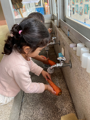 園児が流しでにんじんを丁寧に洗っている様子の写真