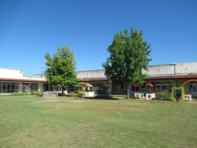 快晴の中撮られた大きな木が2本立っている長尾幼稚園の写真