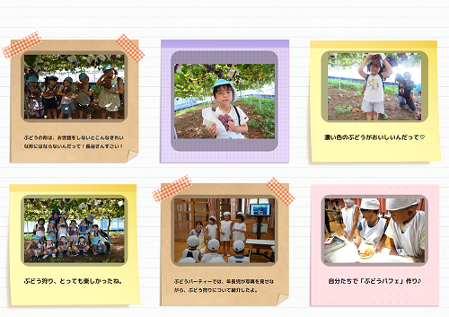 ぶどう狩りとぶどうパフェ作りの様子を写真でまとめた紹介ページ