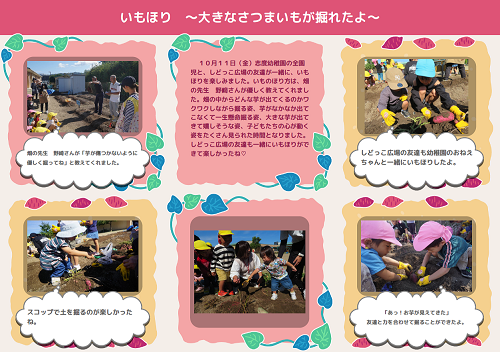 いもほりで大きなさつまいもを掘る園児たちの様子を写真と文章で紹介したページ