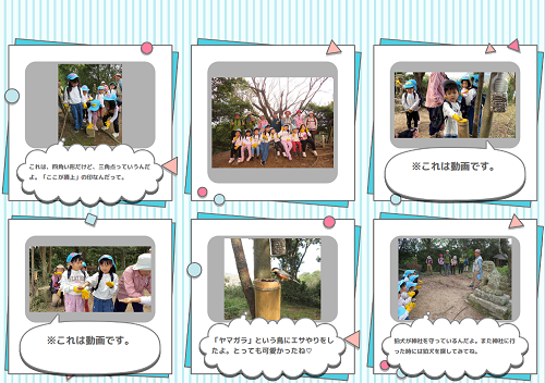 あお組がふるさと探検で山道を歩いたり自然の中で活動する雲附山登山の様子を写真と文章で紹介したページ