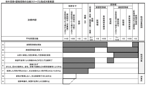 体外受精・顕微授精の治療ステージと助成対象範囲の表