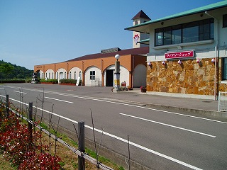 舗装道路に面した青い屋根の建物の奥に茶色いアーチ状の壁模様がある大きな建物がある写真