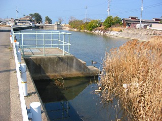 コンクリートで囲まれたタイドプールの道路側にガードレールがある写真
