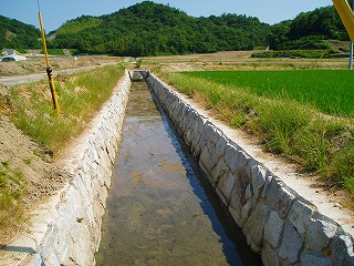 舗装道路の右側に石積みの水路の両脇に芝生の斜面がある写真
