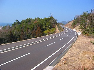 左側の茂みに沿って舗装道路がS字カーブしている写真