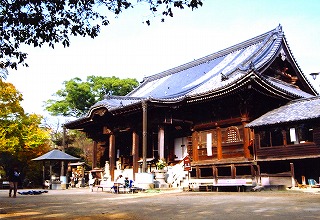 木が生い茂る中にある壮大で立派な瓦屋根の伽藍の写真