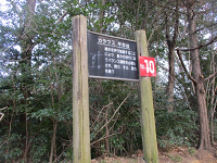 生い茂る木々を背に立つ「カラウス平均台」と書かれた看板の写真