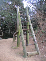 木や鉄でできたはしごとロープが組み合わされた遊具の写真