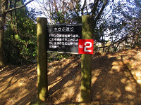 木々が生い茂る森の中に立つ「木かぶ渡り」と書かれた看板の写真