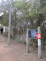 道に立てられた木で作られた看板の右に赤地に白でNo6と書かれた板が付けられた写真