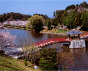 水辺に架かる中枢に東屋のある赤い橋の写真