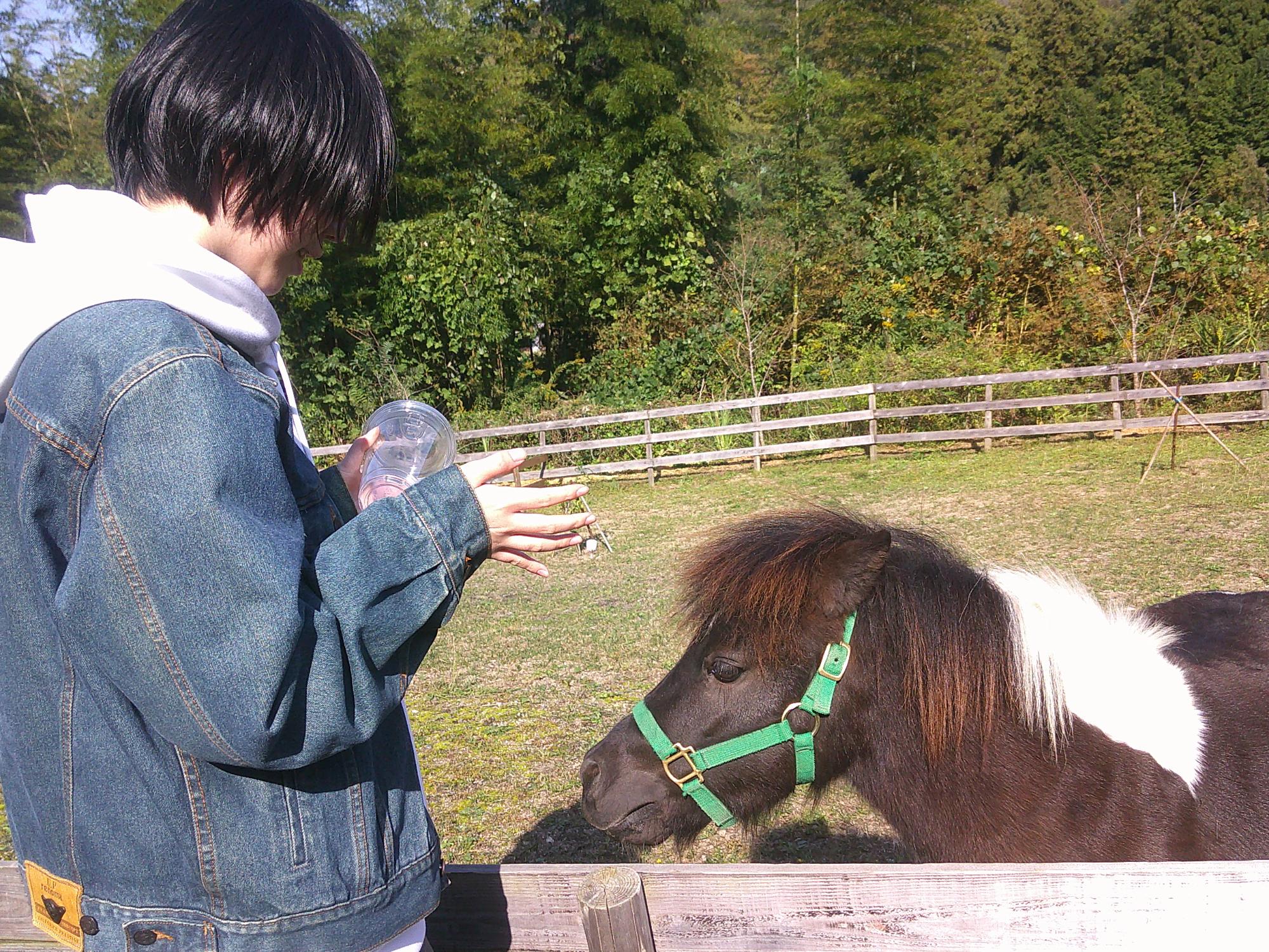 ポニーと一緒