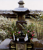 仏花が供えられているお墓の正面写真