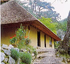 黄色い壁の住宅が階段の奥に見える写真