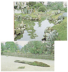 綺麗に整備された曲水式庭園と無染庭の写真