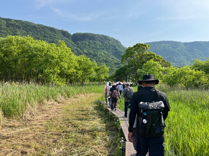 新緑の木道を歩いて進む参加者たちの写真