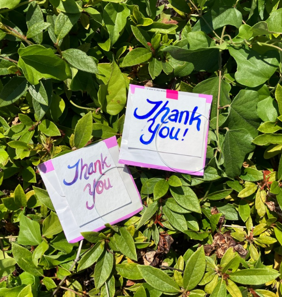 緑の葉の上に英語でThank youと書かれたメッセージカードが二枚並んで置かれている写真