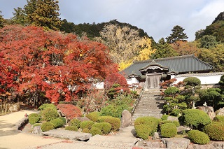 紅葉に彩られた庭園越しに山並みと寺院の建物を眺める風景の写真