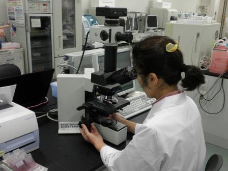 顕微鏡をのぞく白衣姿の女性の写真