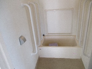 両脇の壁に手すりのついた白い浴槽の写真