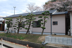 松の木が綺麗に並んだ奥に立っている平屋の写真