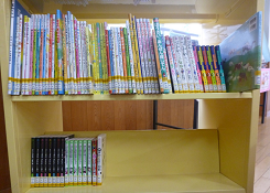 本が並べられた2段の本棚の写真