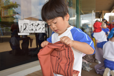 着物を裂いている園児の写真