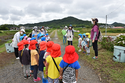 帽子を被った園児が向かい合って立っている写真
