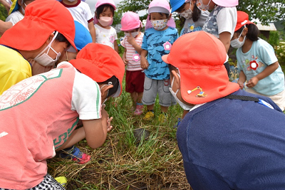 円になって集まった園児たちが足元にいる亀を見ている写真