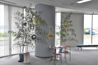 色とりどりの短冊が吊るされた笹飾りの写真