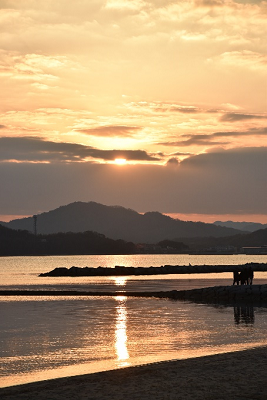 雲の隙間から朝日が覗いている写真