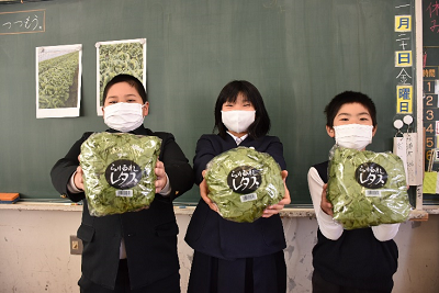 包装したレタスを持って並ぶ3人の児童の写真
