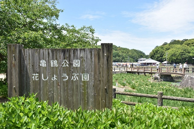 木々や葉に囲まれて設置されている「亀鶴公園 花しょうぶ園」と書かれた看板の写真