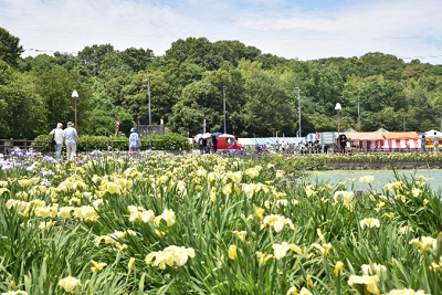 木々や設置されたテントを背景に黄色の花が咲いている写真