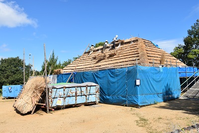 建物をプルーシートで覆い、屋根に上って作業を行っている写真