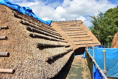 細い丸太が設置された茅葺き屋根の写真