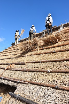 丸太が設置された屋根に上り作業を行う人の写真