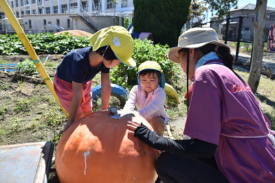 かぼちゃを触る園児2人と女性の写真