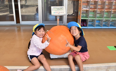 はかりに乗ったカボチャの横に座りピースする園児2人の写真
